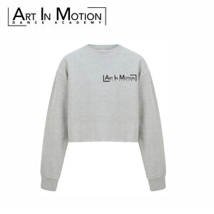 AIM Kids Grey Cropped Long Sleeved Jumper (SM515)