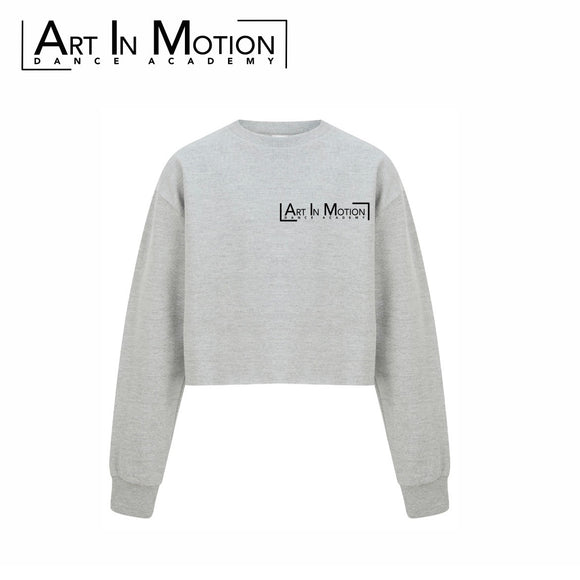 AIM Kids Grey Cropped Long Sleeved Jumper (SM515)